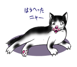 kojirou cats sticker #4231899