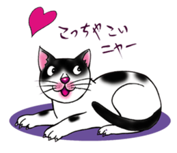 kojirou cats sticker #4231900