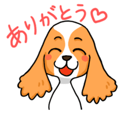 Daimon and A-Cockers-Greetings sticker #4231996