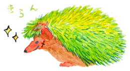 Watercolor Paint Hedgehog sticker #4236002