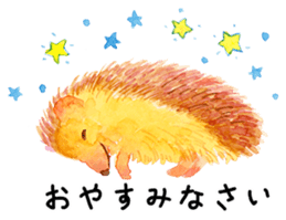 Watercolor Paint Hedgehog sticker #4236017