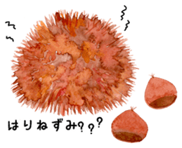 Watercolor Paint Hedgehog sticker #4236025