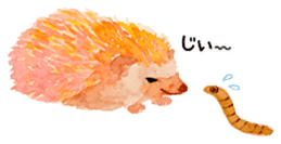 Watercolor Paint Hedgehog sticker #4236029