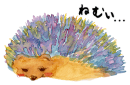 Watercolor Paint Hedgehog sticker #4236035
