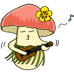 Daily mushrooms 2