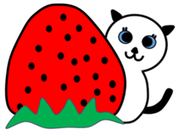 White Cat, BLUE sticker #4240500