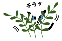 White Cat, BLUE sticker #4240517