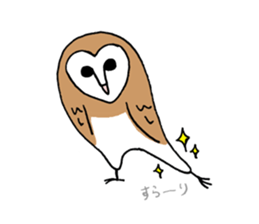 Maybe barn owl sticker #4241886