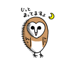 Maybe barn owl sticker #4241887