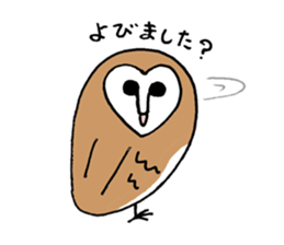 Maybe barn owl sticker #4241893