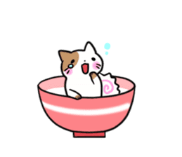 Bowl cat sticker #4242844