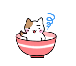 Bowl cat sticker #4242853