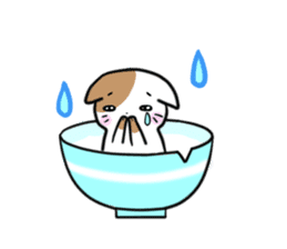 Bowl cat sticker #4242856