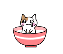 Bowl cat sticker #4242861