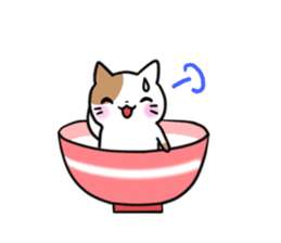 Bowl cat sticker #4242863