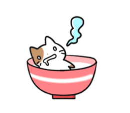 Bowl cat sticker #4242866