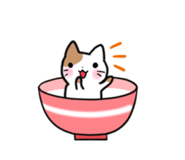 Bowl cat sticker #4242868