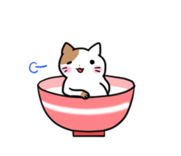 Bowl cat sticker #4242871