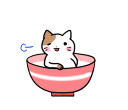 Bowl cat sticker #4242871