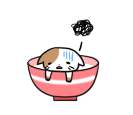 Bowl cat sticker #4242877