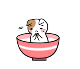 Bowl cat sticker #4242879