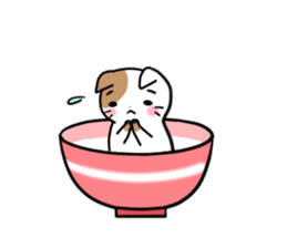 Bowl cat sticker #4242879