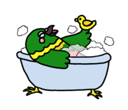 lovely parakeet sticker #4243589