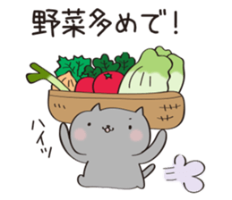 Diet sticker of the cat sticker #4245144