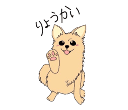 Ponsuke of the Pomeranian sticker #4245602