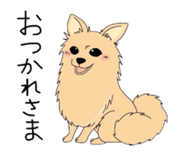 Ponsuke of the Pomeranian sticker #4245604