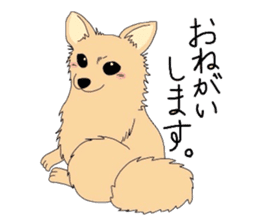 Ponsuke of the Pomeranian sticker #4245606