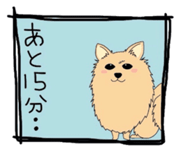 Ponsuke of the Pomeranian sticker #4245609