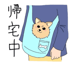 Ponsuke of the Pomeranian sticker #4245614
