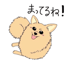 Ponsuke of the Pomeranian sticker #4245615
