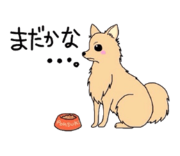 Ponsuke of the Pomeranian sticker #4245618