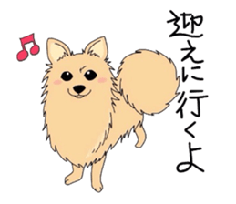 Ponsuke of the Pomeranian sticker #4245620