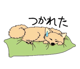 Ponsuke of the Pomeranian sticker #4245621