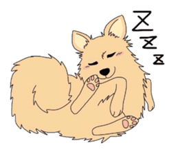 Ponsuke of the Pomeranian sticker #4245623