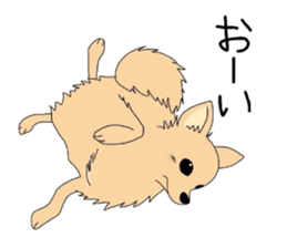 Ponsuke of the Pomeranian sticker #4245624