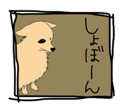 Ponsuke of the Pomeranian sticker #4245630