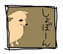 Ponsuke of the Pomeranian sticker #4245630