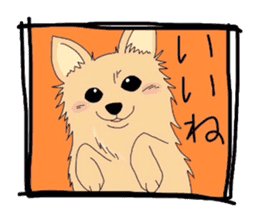 Ponsuke of the Pomeranian sticker #4245634