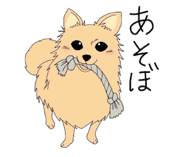 Ponsuke of the Pomeranian sticker #4245635