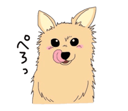 Ponsuke of the Pomeranian sticker #4245638