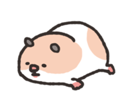 Chillin hamsters sticker #4246032