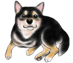 Black-Shiba and White Shiba Dog Sticker sticker #4246241