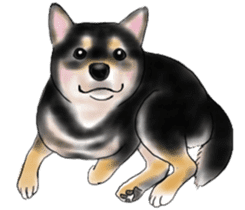 Black-Shiba and White Shiba Dog Sticker sticker #4246241