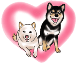 Black-Shiba and White Shiba Dog Sticker sticker #4246243