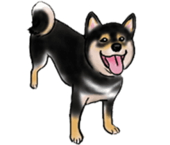 Black-Shiba and White Shiba Dog Sticker sticker #4246244