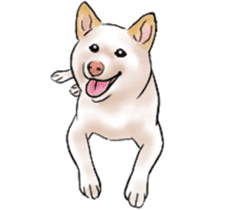 Black-Shiba and White Shiba Dog Sticker sticker #4246245